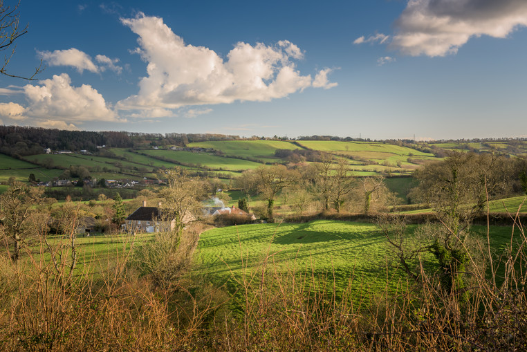 View across the Blackdown Hills AONB