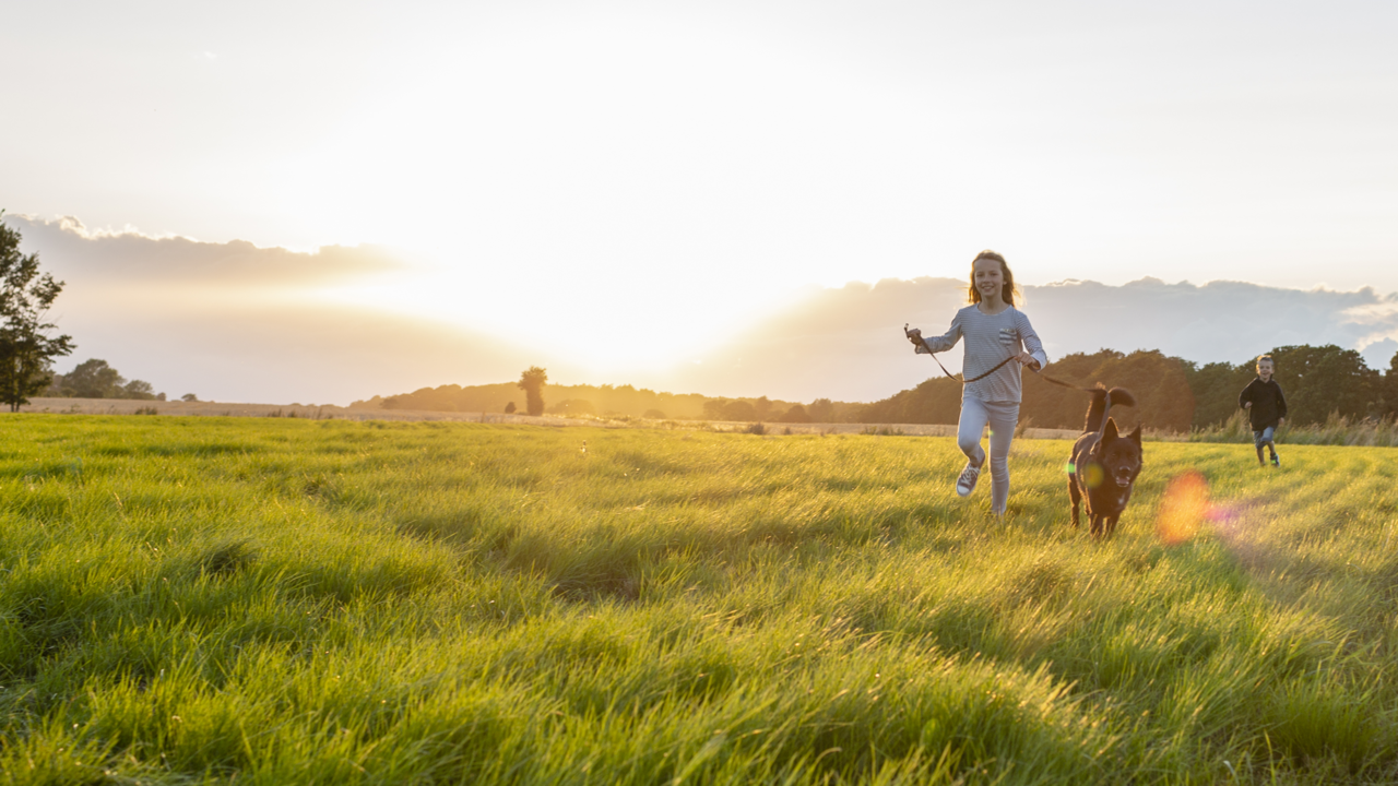 Children in a field