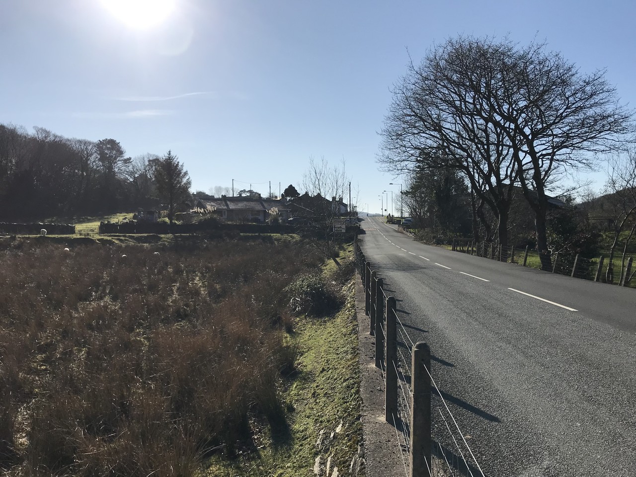 Country road between fields leading up to small village