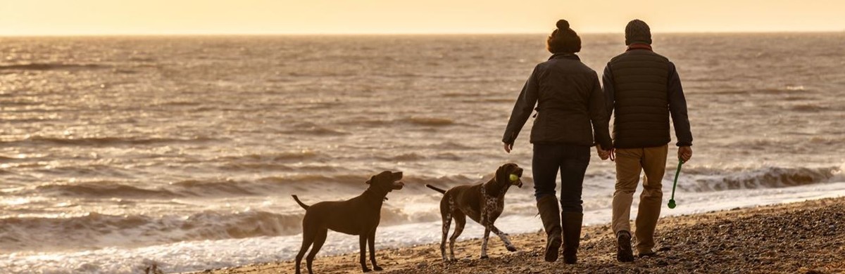 Man and woman walking along beach with two dogs