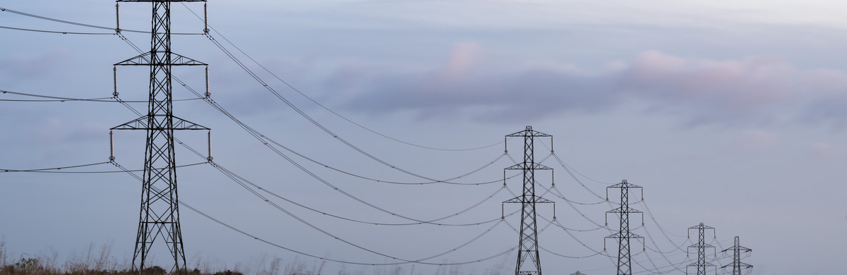 Pylons in field