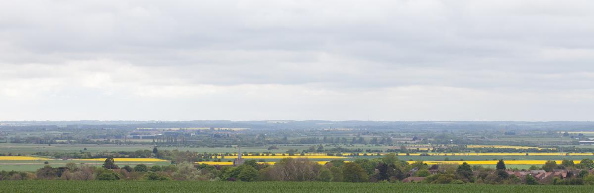 Green and yellow fields alternate underneath a clouded sky 