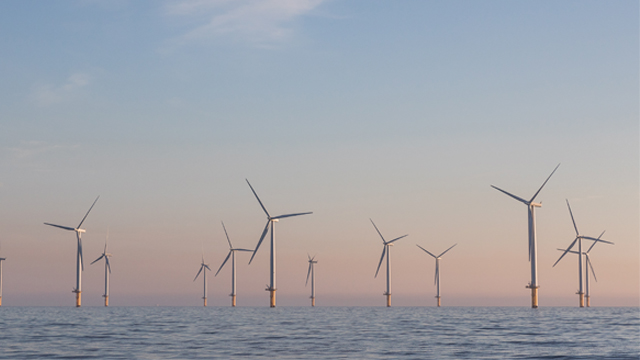 Offshore wind farm in calm seas at dawn