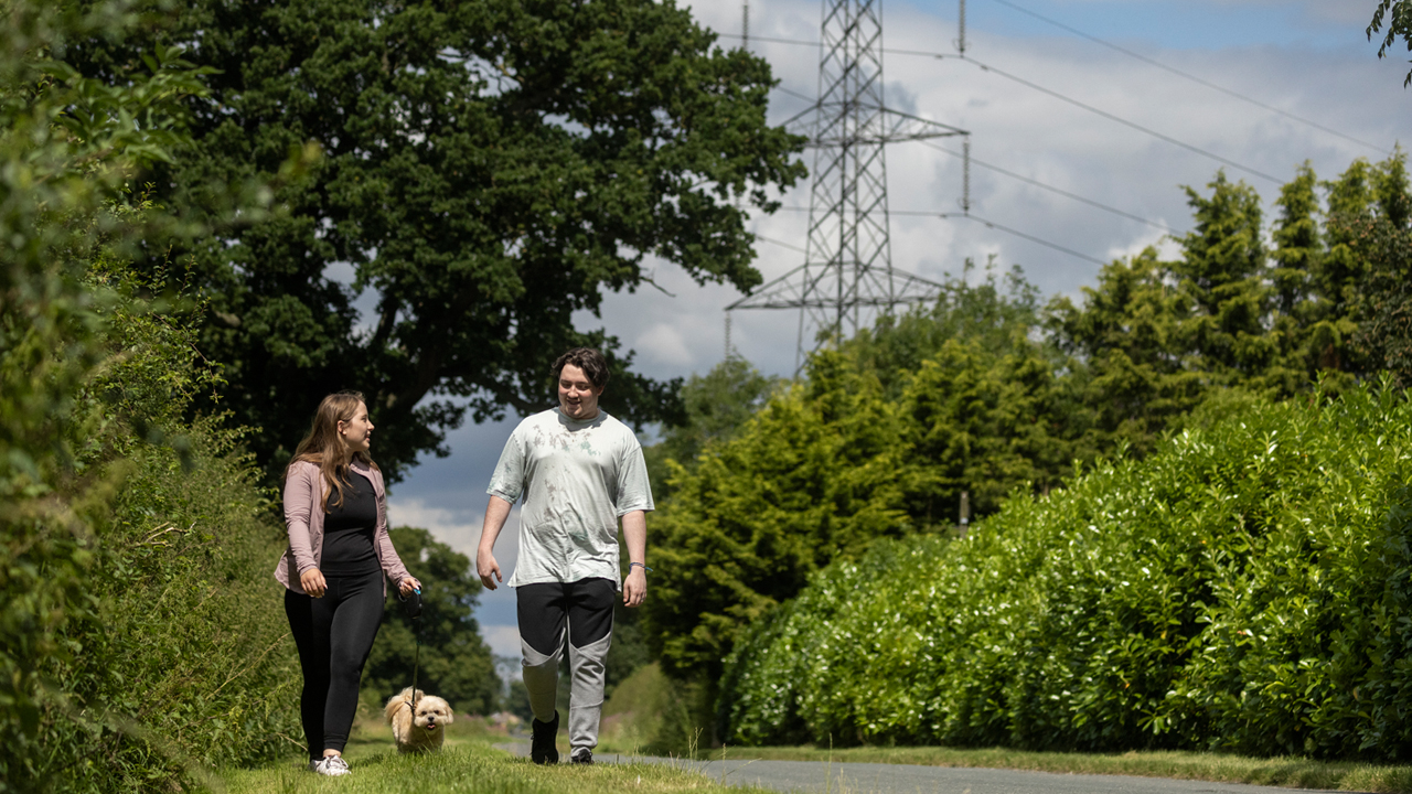 Couple walking a dog down a green lane with a pylon in the background