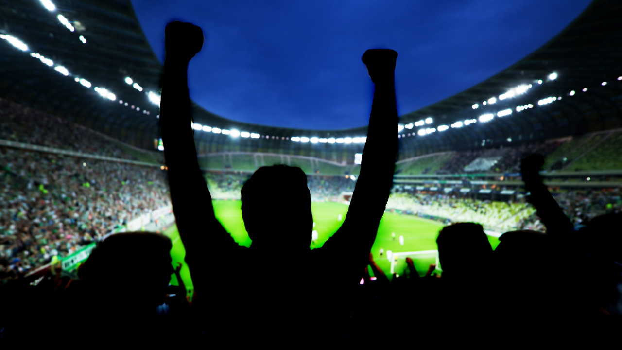 Silhouette of sports fans celebrating at arena 