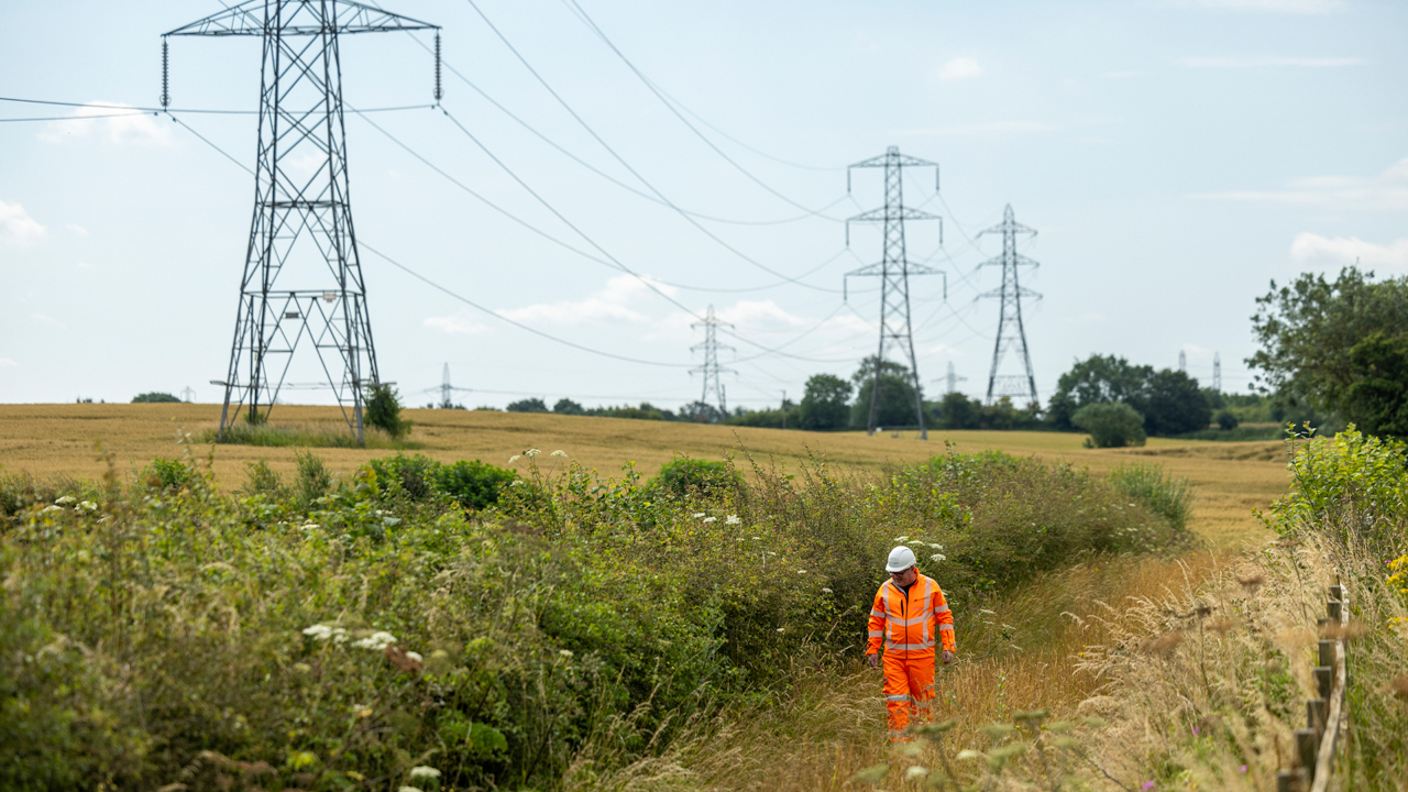 Person wearing an orange high-vis overall and hard hat walking in a field alongside a row of electricity pylons and lines