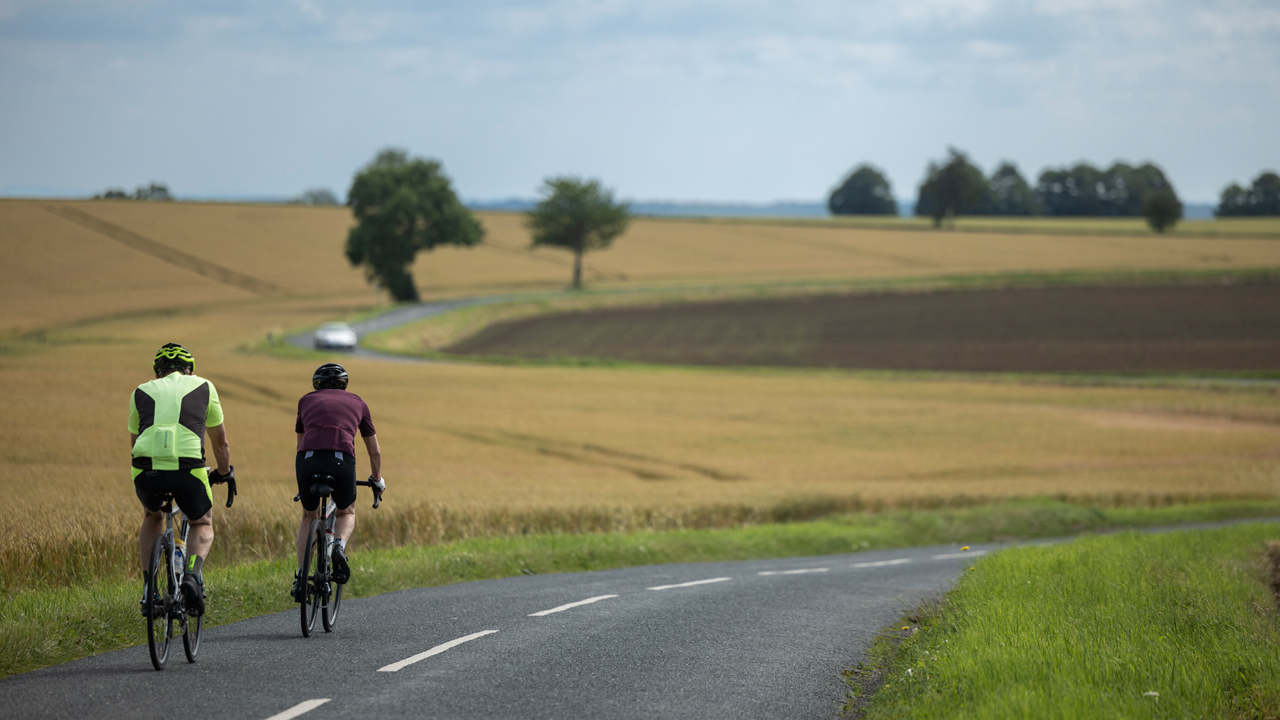 Two people seen from behind cycling down a country line between crop fields