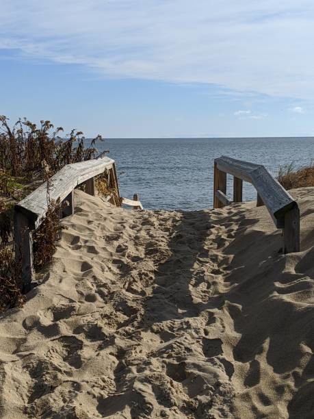 Plum Island