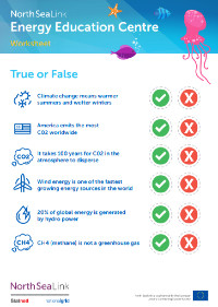 True-or-false-worksheet