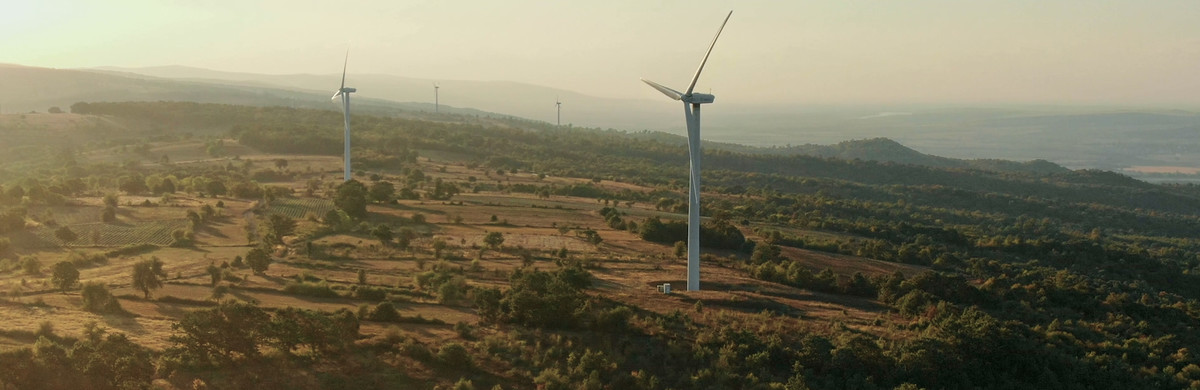 Wind turbine in fields