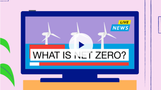 What Is Net Zero National Grid Group